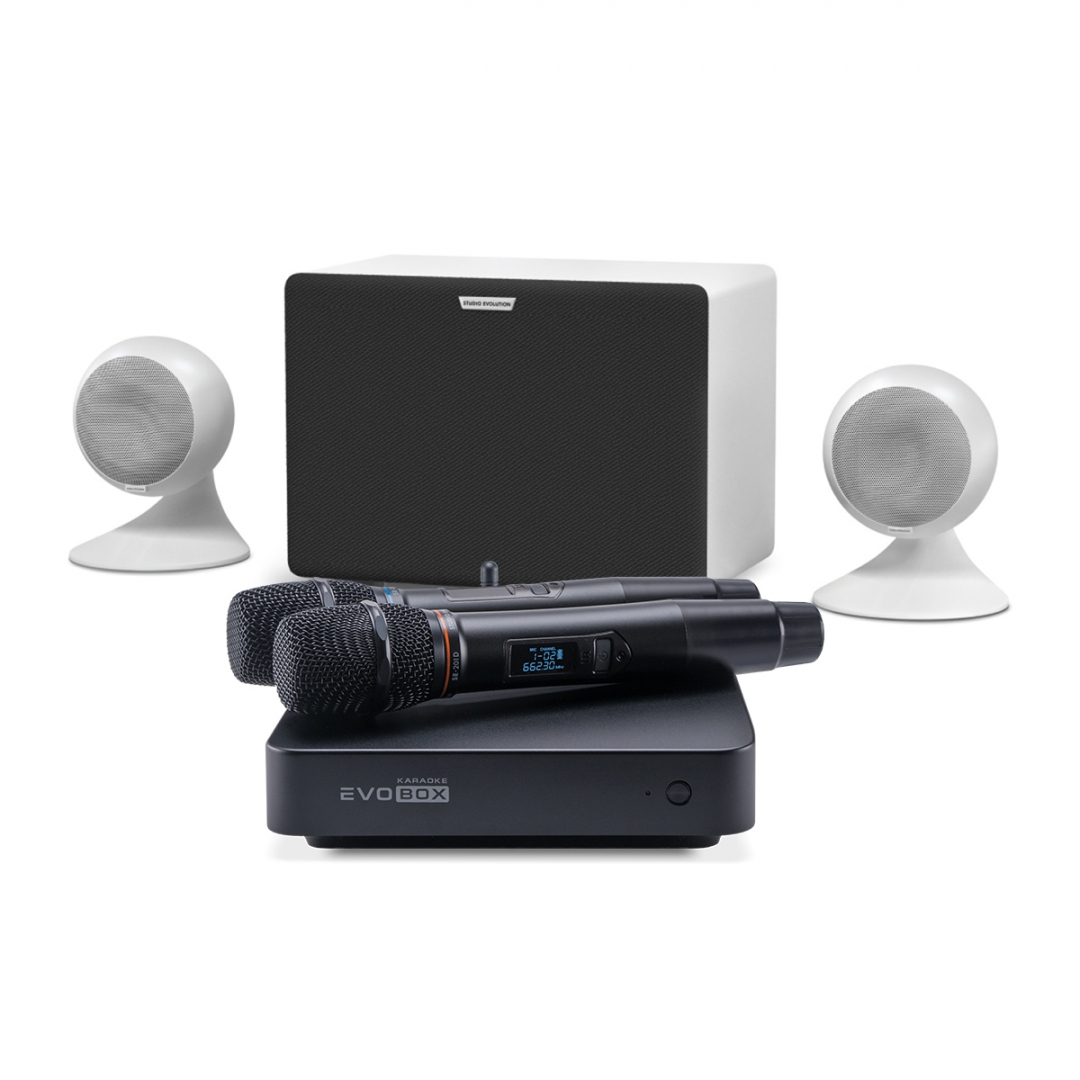 караоке-комплект EVOBOX Classic + EvoSound Sphere 2.1 в Волгодонске