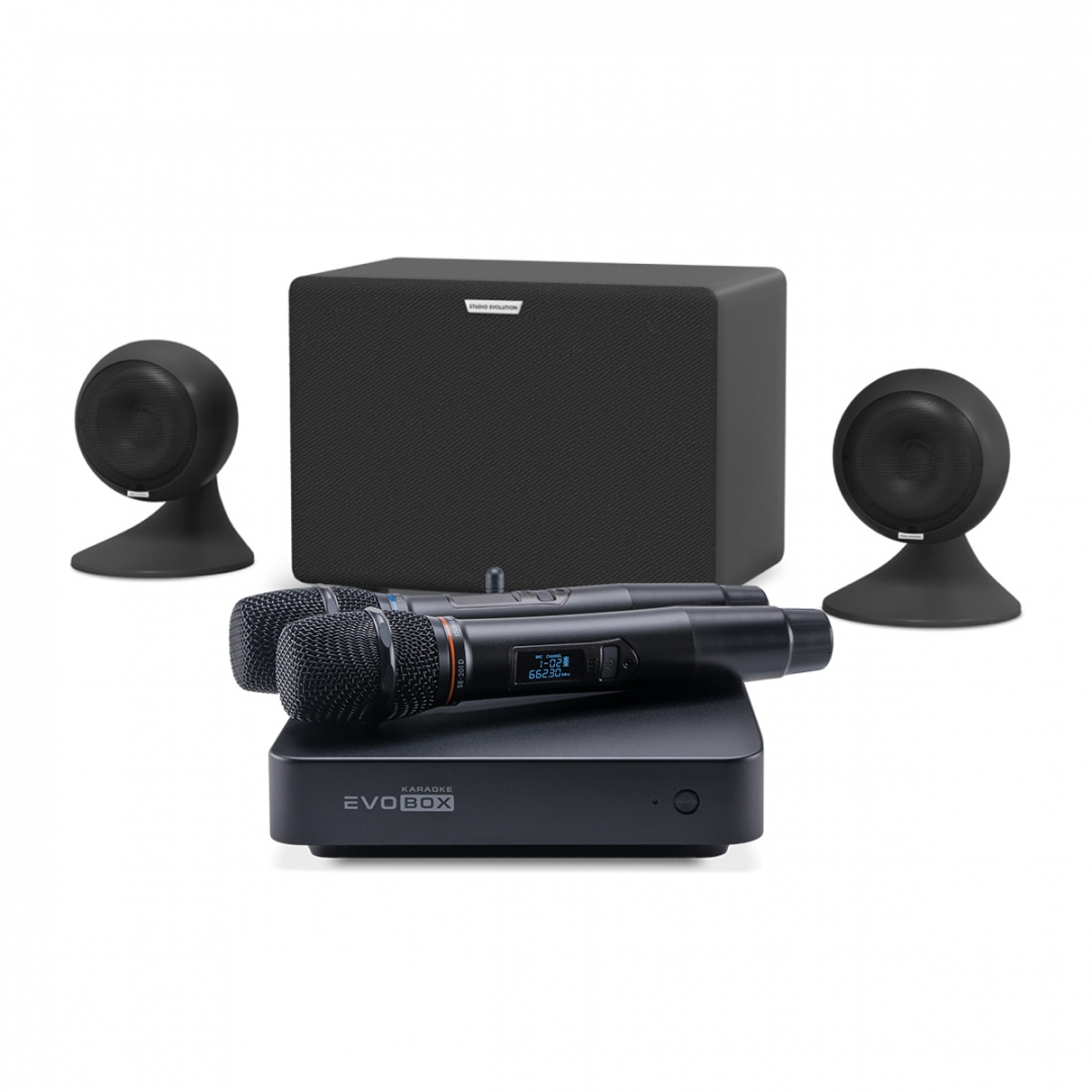 караоке-комплект EVOBOX Plus + EvoSound Sphere 2.1 в Волгодонске