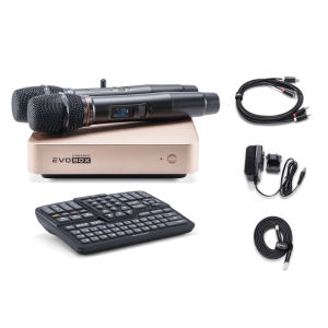 EVOBOX Classic караоке-система для дома в Волгодонске