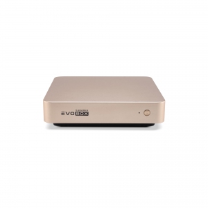 EVOBOX с микрофонами в Волгодонске
